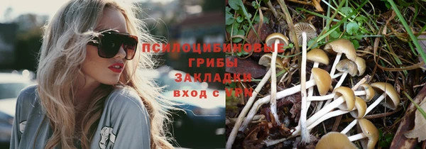 spice Алексеевка