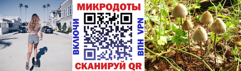Купить закладки  Верещагино  Псилоцибиновые грибы GOLDEN TEACHER 